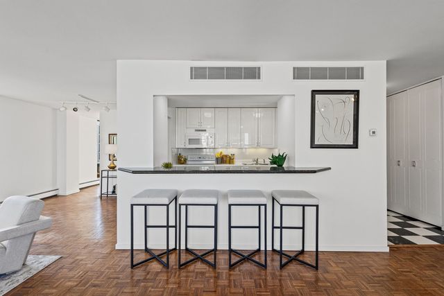 1310 N Ritchie Court 24BC, Chicago, IL 60610