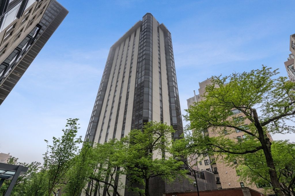 1310 N Ritchie Court 24BC, Chicago, IL 60610