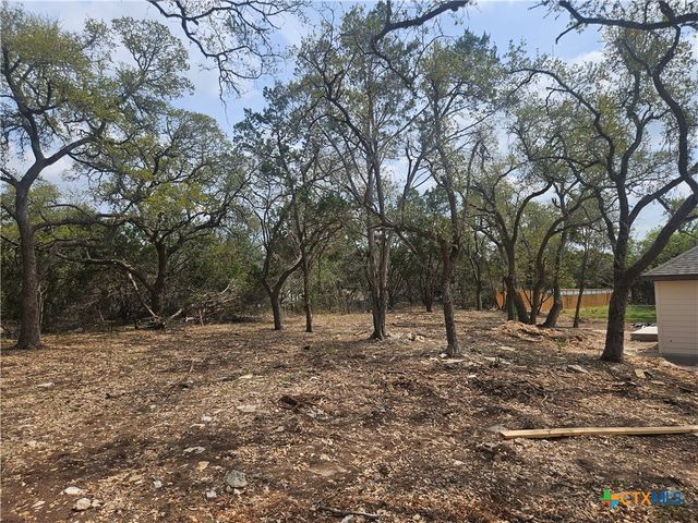 469 Persimmon Pass, Fischer, TX 78623