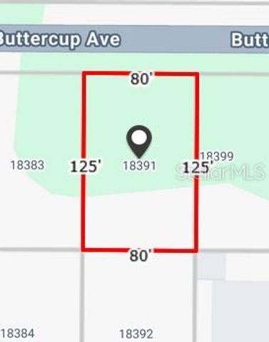 18391 BUTTERCUP AVENUE, Port Charlotte, FL 33954