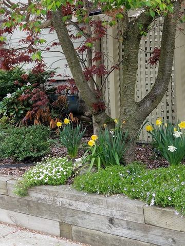 62 Granville Rd 1, Cambridge, MA 02138