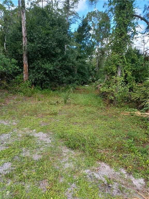 2113 Della DR, NAPLES, FL 34117 — photo 4