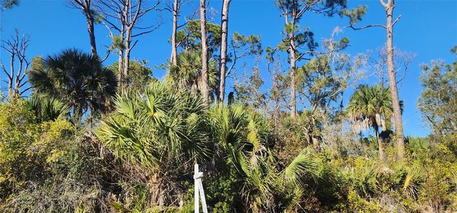 12006 COLEMAN AVENUE, Port Charlotte, FL 33981