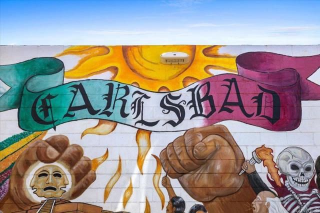 3379 Roosevelt St. Street, Carlsbad, CA 92008