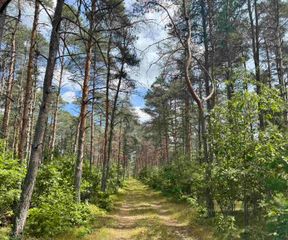 4105 N Strawberry Road, Harrison, MI 48625