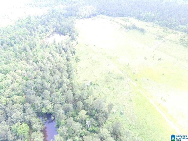 0 SANIE ROAD, Odenville, AL 35120