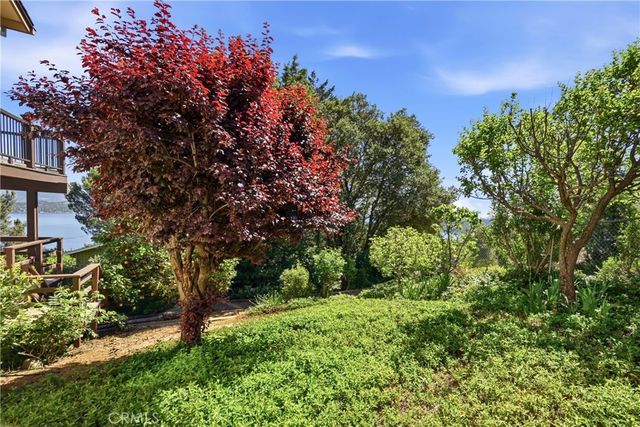 3590 Idlewood Drive, Kelseyville, CA 95451