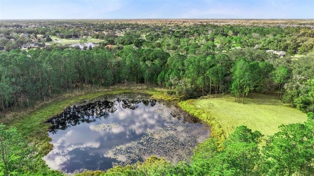 1055 BRUMLEY ROAD, Chuluota, FL 32766