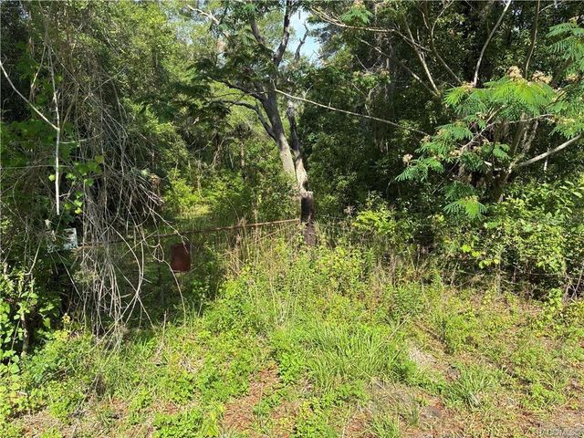 5236 N OLDWOOD POINT, Hernando, FL 34442