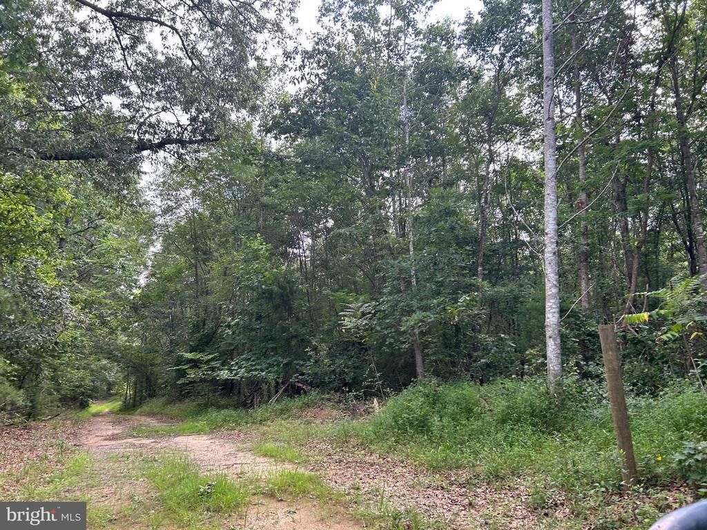 BICKERS LN, Orange, VA 22960