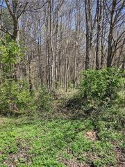 5550 Brookfield Ridge Drive, Winston-salem, NC 27105