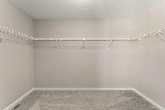 15250 Tiger Street NW, Ramsey, MN 55303