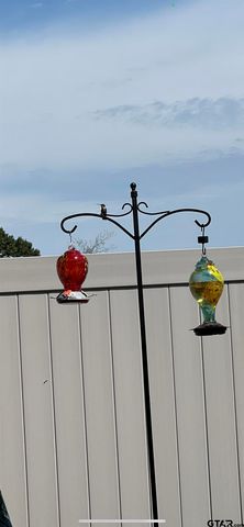 165 PRIVATE ROAD 54329, Pittsburg, TX 75686