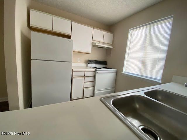 320 Brownlea Drive 1e, Greenville, NC 27858
