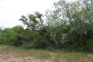 00 Cenesia Dr, Sandia, TX 78383