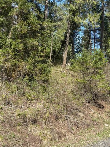 11XXX Hartley Ln, Chattaroy, WA 99003