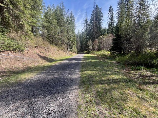 11XXX Hartley Ln, Chattaroy, WA 99003
