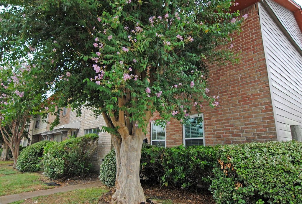 7853 Fuqua Street 7853, Houston, TX 77075