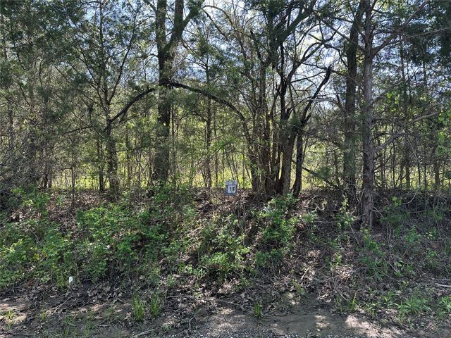 Tract 19 County Road 2960, Honey Grove, TX 75446