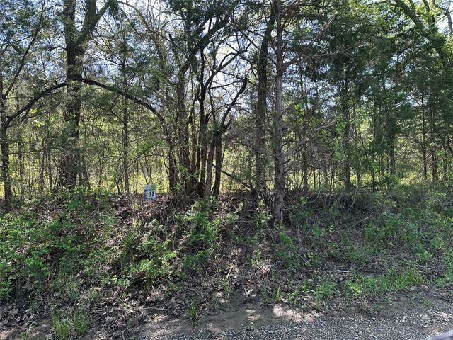 Tract 19 County Road 2960, Honey Grove, TX 75446