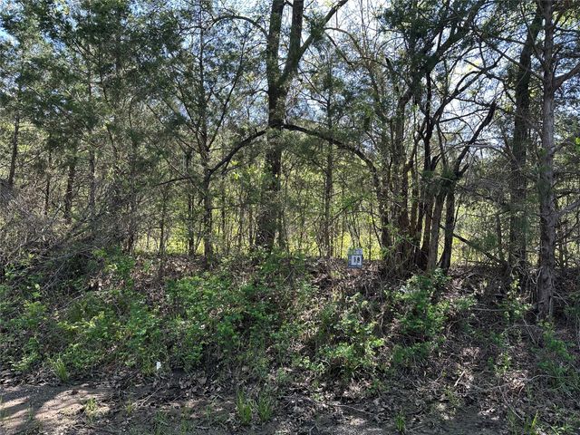 Tract 19 County Road 2960, Honey Grove, TX 75446