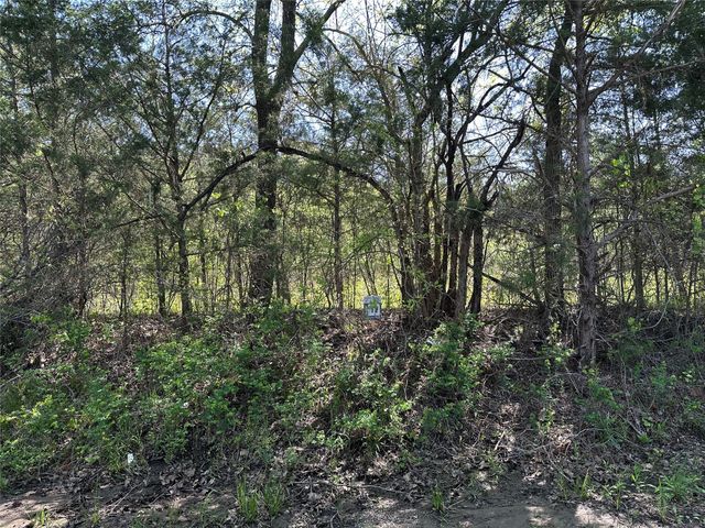 Tract 19 County Road 2960, Honey Grove, TX 75446