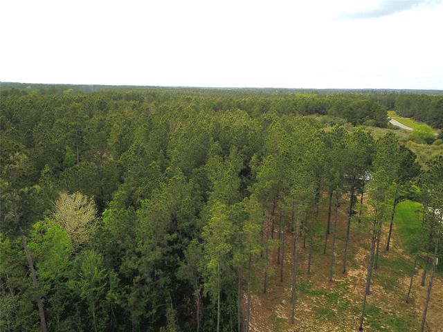 12775 Oak Barrel Road, Willis, TX 77378