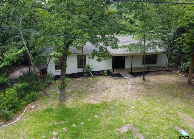 431 Lone Star Ln, Hideaway, TX 75771