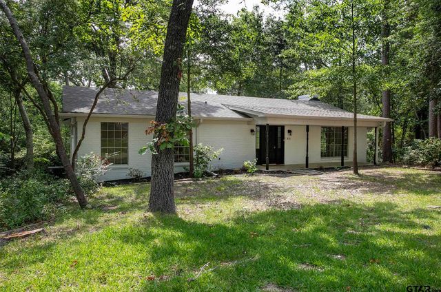 431 Lone Star Ln, Hideaway, TX 75771