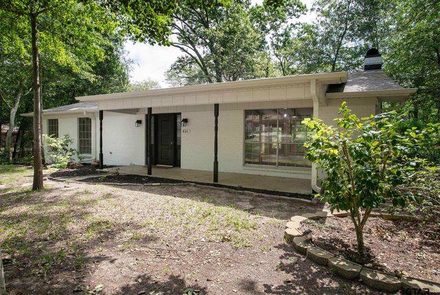431 Lone Star Ln, Hideaway, TX 75771