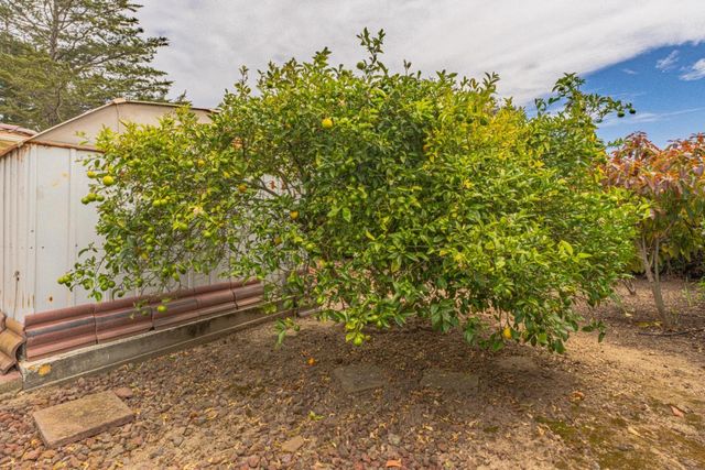 15084 Green Oak Place, Salinas, CA 93907