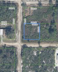 2950 W Metuchen Road, Avon Park, FL 33825