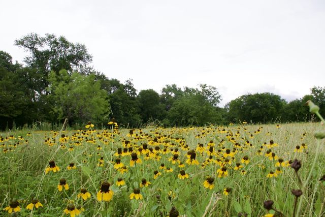 8151 Randol Mill Road, Fort Worth, TX 76120