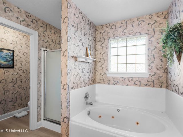 85 Susan Cove, Byram, MS 39272