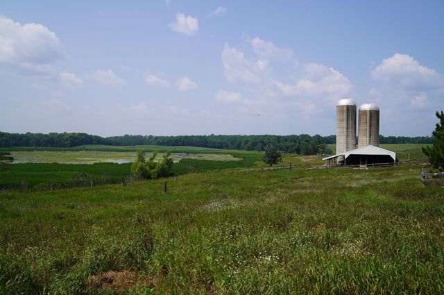 1847 Dubois Road, Webster, WI 54893