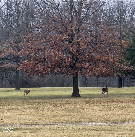 4406 Quail Creek Trace N, Pittsboro, IN 46167