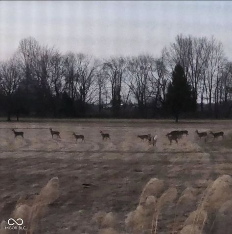 4406 Quail Creek Trace N, Pittsboro, IN 46167