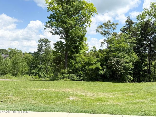 0 - Lot 60 Bluffs Edge Dr, Mt Washington, KY 40047