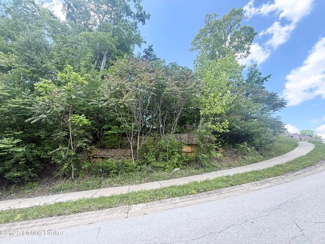 0 - Lot 60 Bluffs Edge Dr, Mt Washington, KY 40047