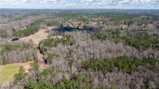 16216 Wesley Chapel, Ralph, AL 35480