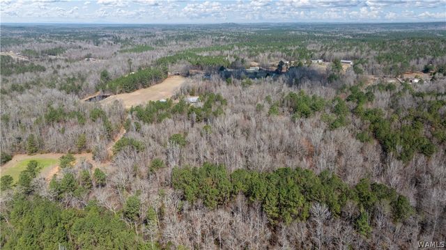 16216 Wesley Chapel, Ralph, AL 35480