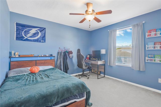 18345 FISH LOOP, Land O Lakes, FL 34638