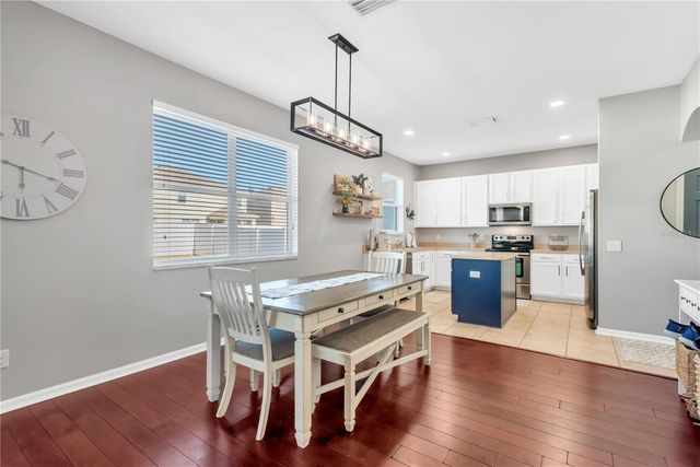 18345 FISH LOOP, Land O Lakes, FL 34638