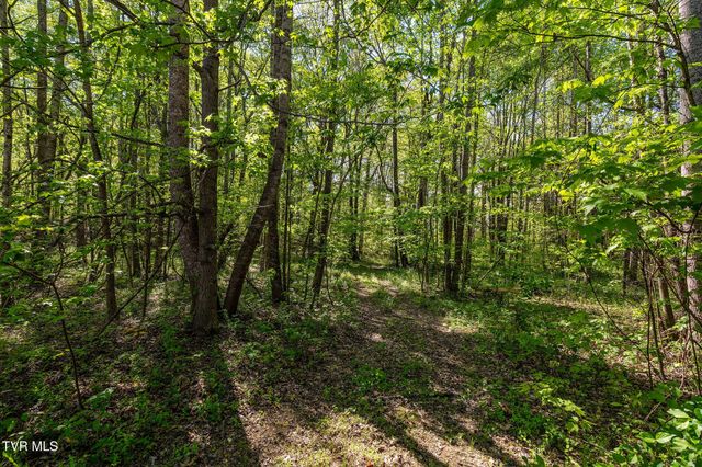 110 Keller Road, Afton, TN 37616