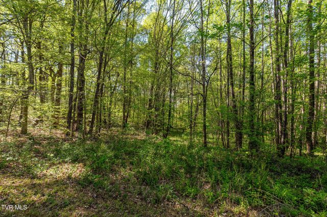 110 Keller Road, Afton, TN 37616