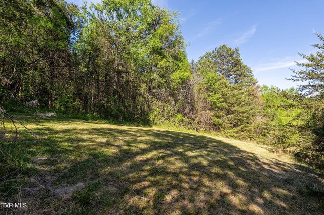 110 Keller Road, Afton, TN 37616