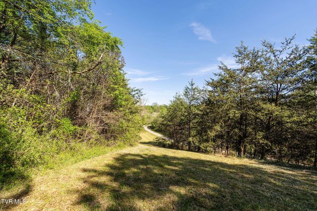 110 Keller Road, Afton, TN 37616