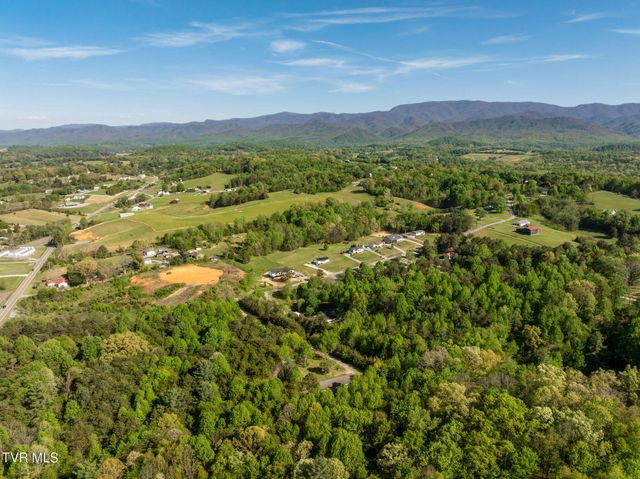 110 Keller Road, Afton, TN 37616