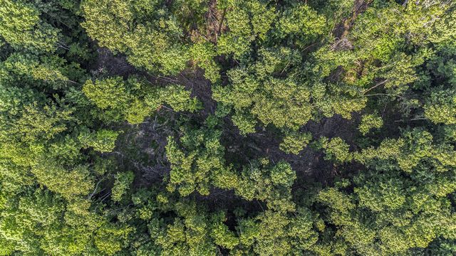 V/L 5A E Old State Road, East Jordan, MI 49727