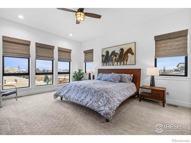 1907 Spring Bloom Drive, Windsor, CO 80550